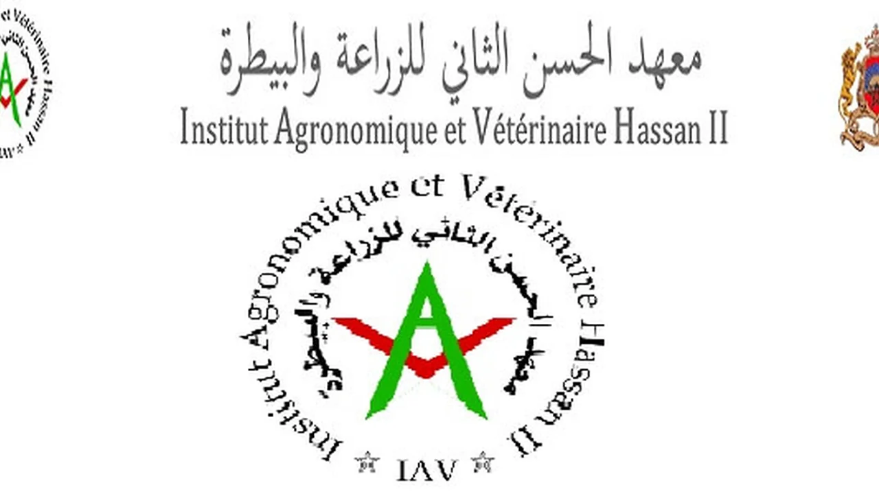 ما هو معهد الحسن الثاني للزراعة والبيطرة IAV؟ دليل القبول والتكوين والمسارات