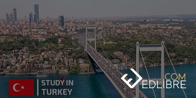 الطرق المثالية لتحصل على منحة للدراسة في تركيا
